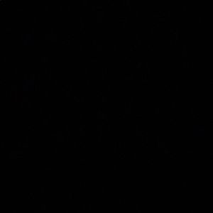 Meet your Posher, Izzy